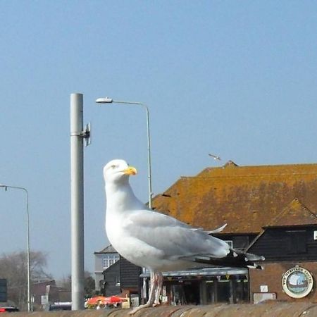 Seaview Cottage Rye Εξωτερικό φωτογραφία